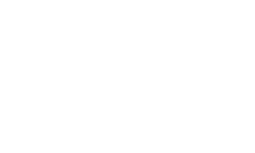 shopee mall web