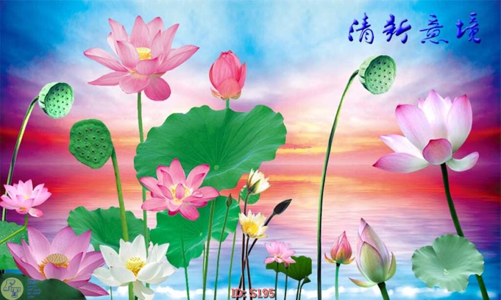 tranh hoa sen