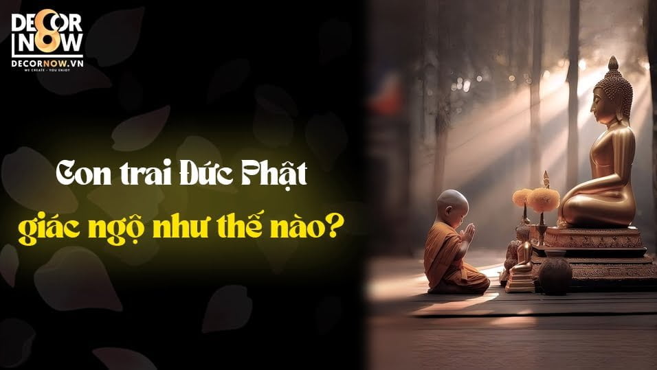 CON TRAI ĐỨC PHẬT GIÁC NGỘ NHƯ THẾ NÀO ?