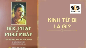 Kinh Từ Bi (Metta Sutta) là gì? Nội dung của Kinh Từ Bi sám hối