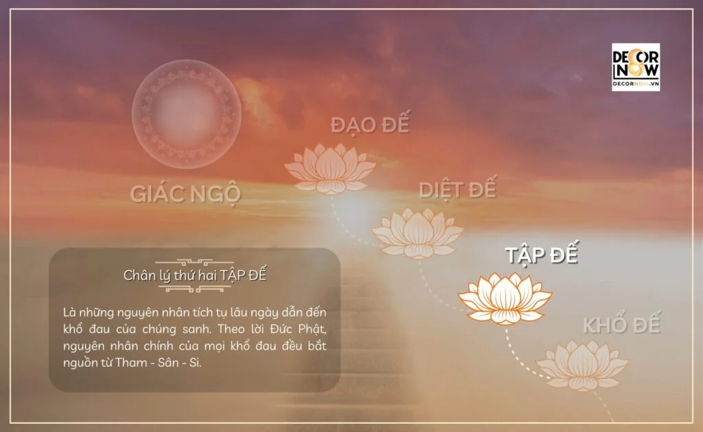 Chân lý thứ tư trong Tứ Diệu Đế - Tập Đế