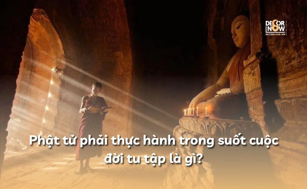 Trong cuộc đời tu tập, người Phật Tử cần thực hành các nguyên tắc và giáo lý của Đức Phật để đạt được sự giác ngộ và giải thoát.