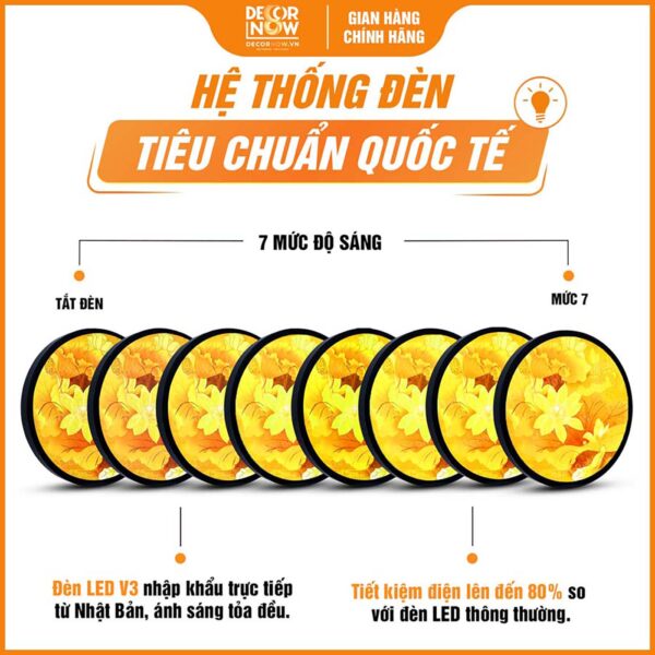 Hệ thống đèn tích hợp trong tranh trúc chỉ in tròn mẫu hoa sen DecorNow TC562