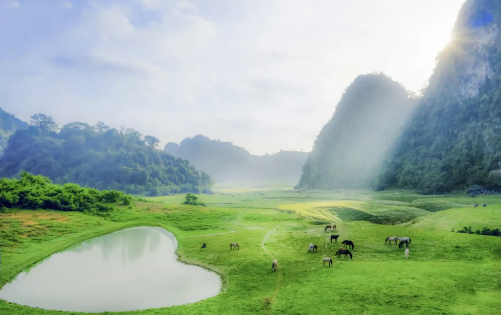 Tranh phong thủy núi non thảo nguyên xanh